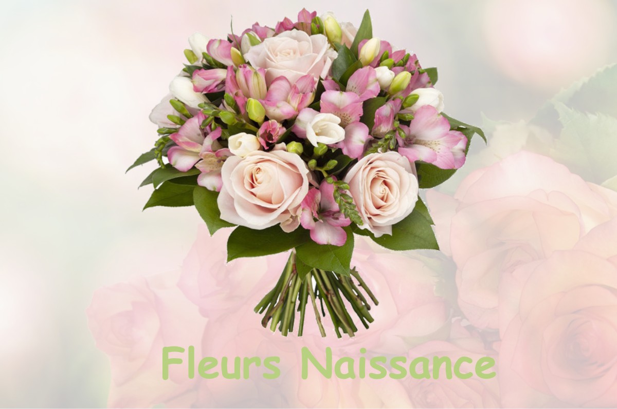 fleurs naissance CONILHAC-CORBIERES