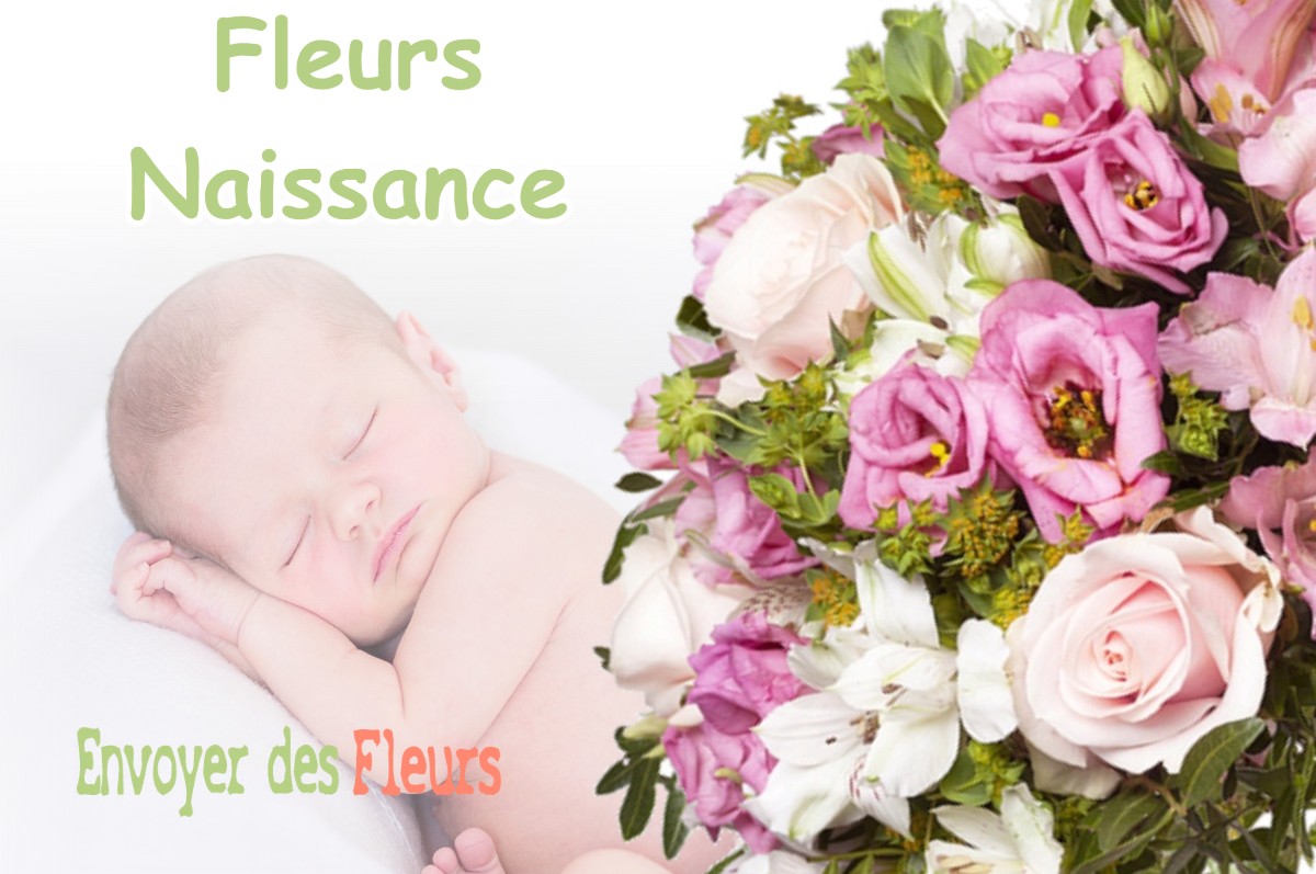 lIVRAISON FLEURS NAISSANCE à CONILHAC-CORBIERES